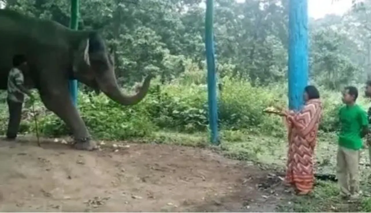 বিশ্ব হাতি দিবস পালিত হল আলিপুরদুয়ারে