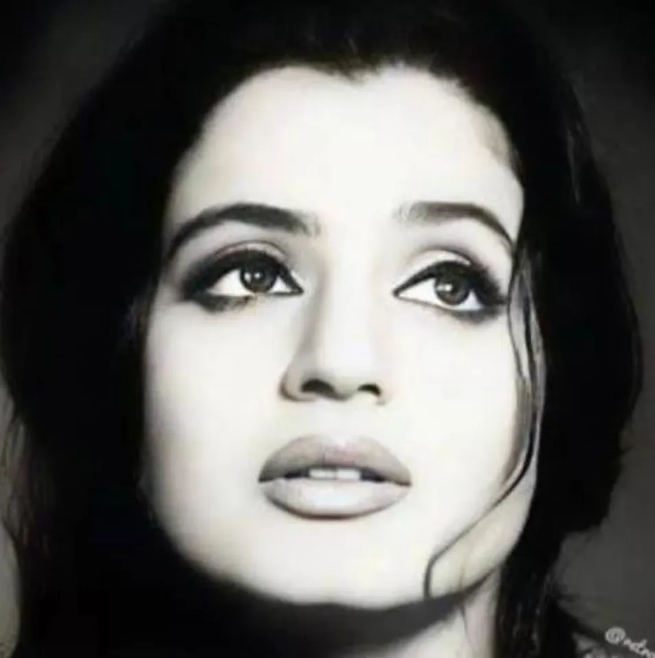 শাহরুখ এর সঙ্গে থ্রোব্যাক ছবিতে আমিশা প্যাটেল!