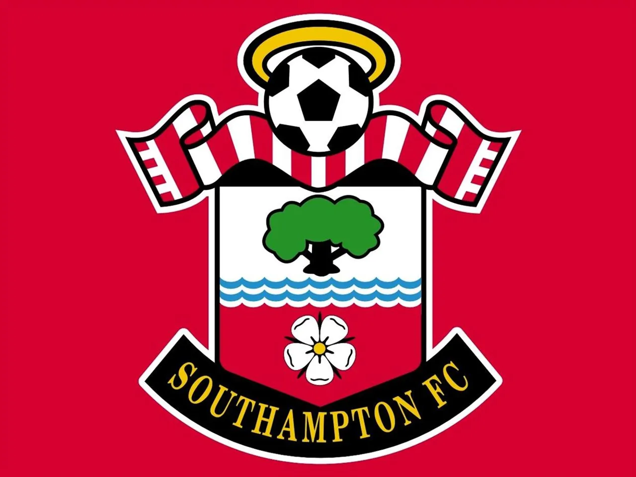 জয়ের লক্ষ্যে সাউথঅ্যাম্পটন