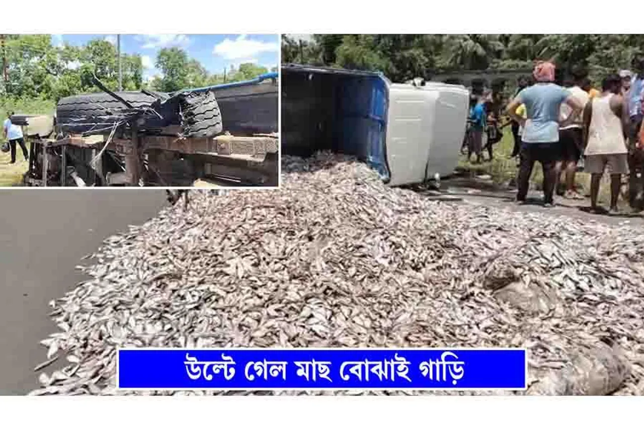 টায়ার ফেটে রাস্তায় উল্টে গেল মাছের গাড়ি
