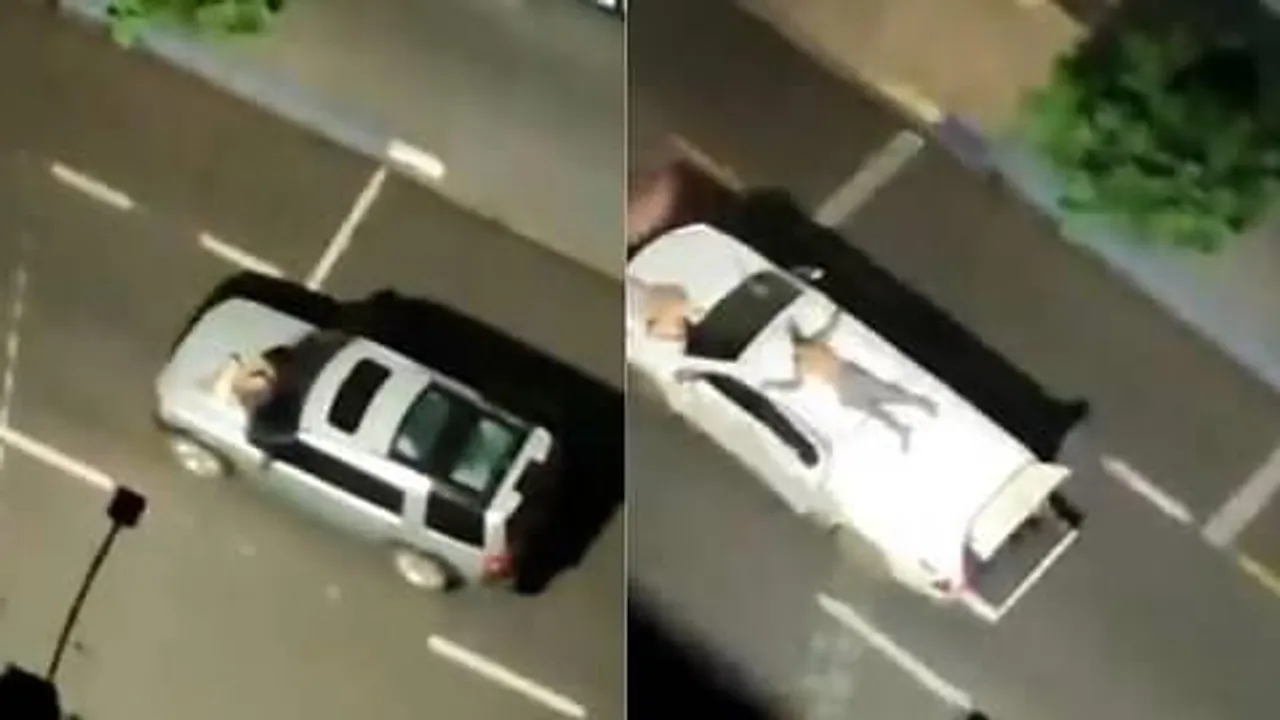 ঠিক যেন ম্যানি হাইয়েস্ট