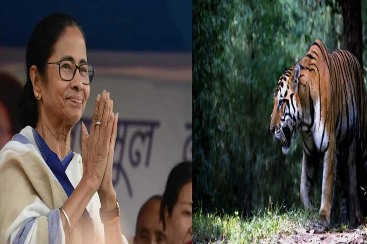 বিশ্ব বাঘ দিবসে মমতার শুভেচ্ছা
