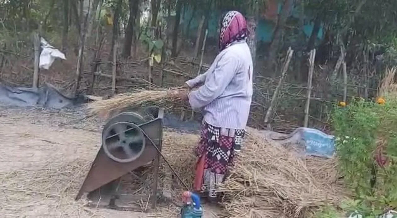 ঘুর্নিঝড় জাওয়াদ আসার আগেই চাষীদের প্রস্তুতি তুঙ্গে