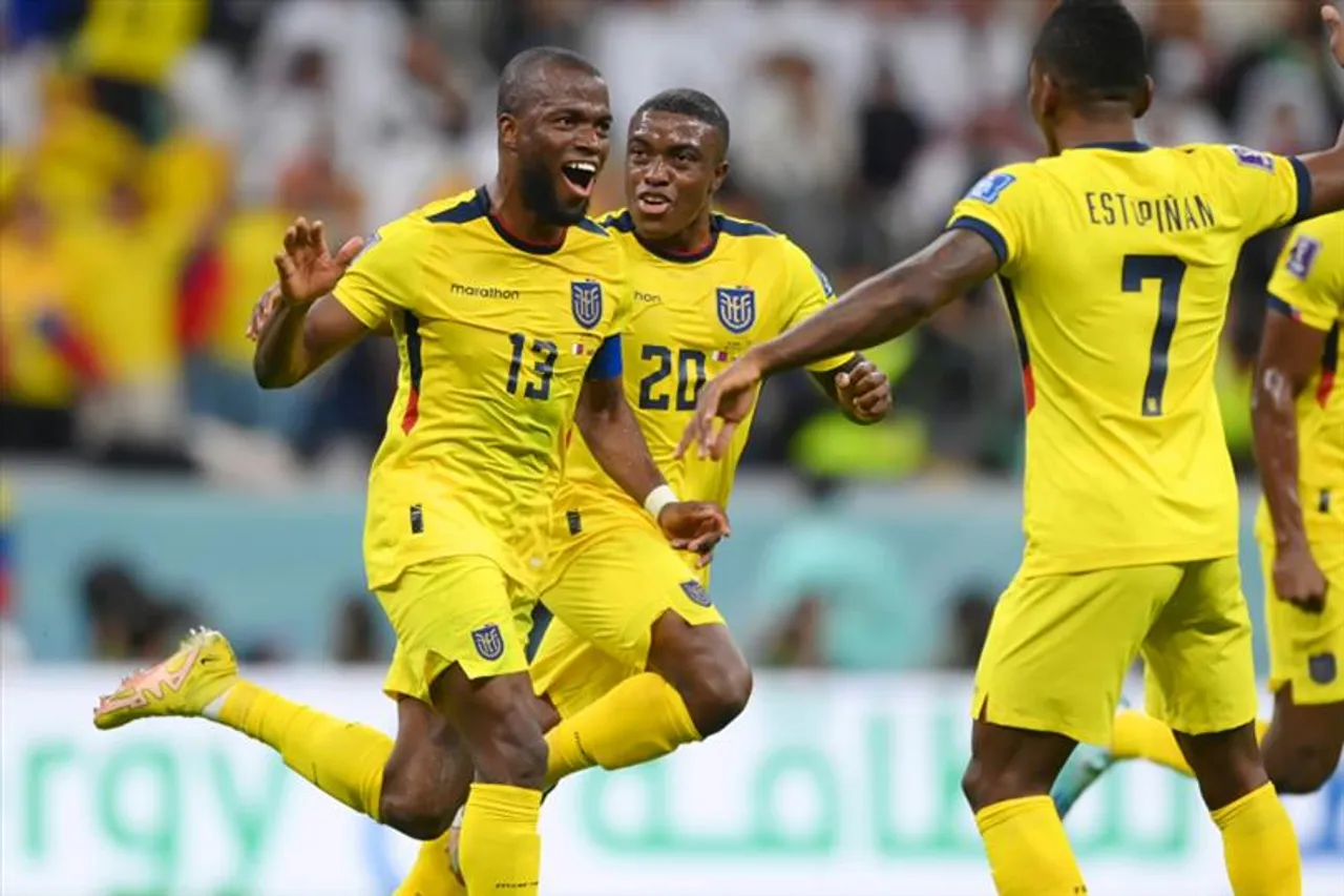 'উই ওয়ান্ট বিয়ার', কাতারকে হারিয়ে স্লোগান  ইকুয়েডর সমর্থকদের