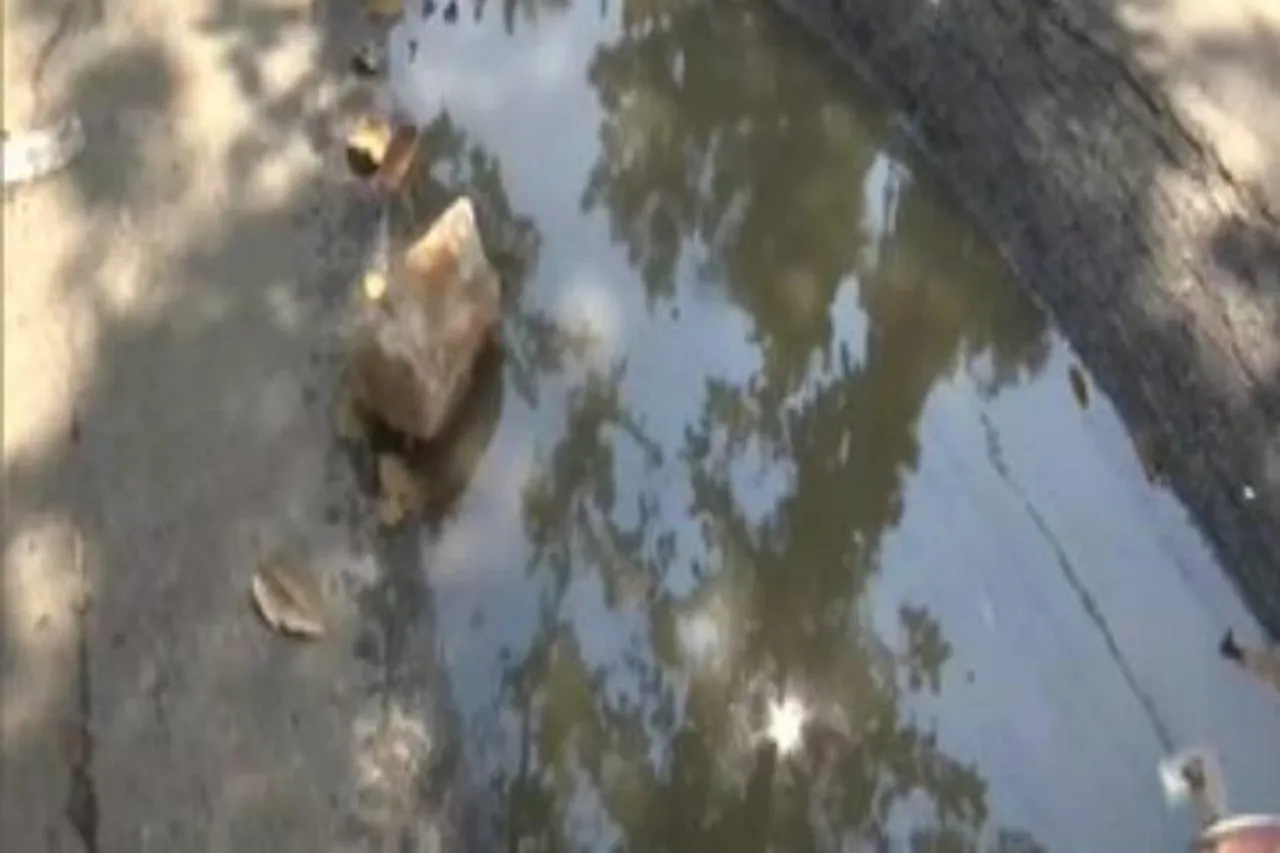 নিরাপত্তার জন্য হুমকি হয়ে দাঁড়াচ্ছে গর্ত ভর্তি রাস্তা