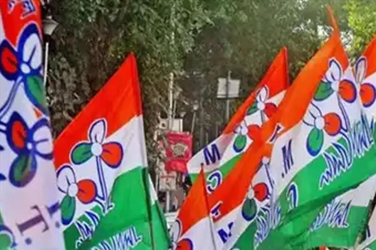 নির্দল প্রার্থী, প্রচারে নিজেকে তৃণমূল বলে দাবি