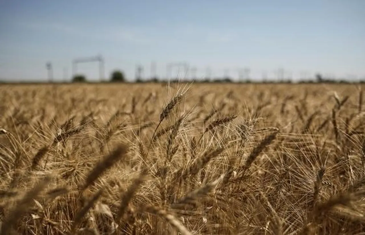 ইস্তাম্বুলের উদ্দেশ্যে রওনা দিল ইউক্রেনীয় প্রথম শস্য
