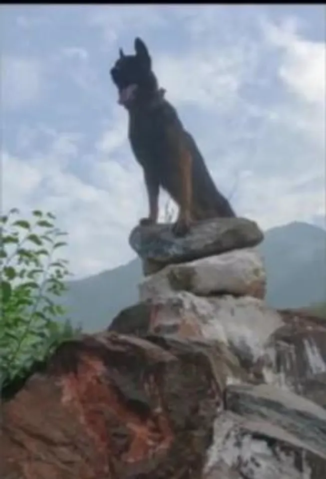 বুকে গুলি নিয়েও লড়াইয়ের ময়দান ছাড়েনি সে, কিন্তু আজ দুপুরে শেষ হল 'জুম' এর লড়াই