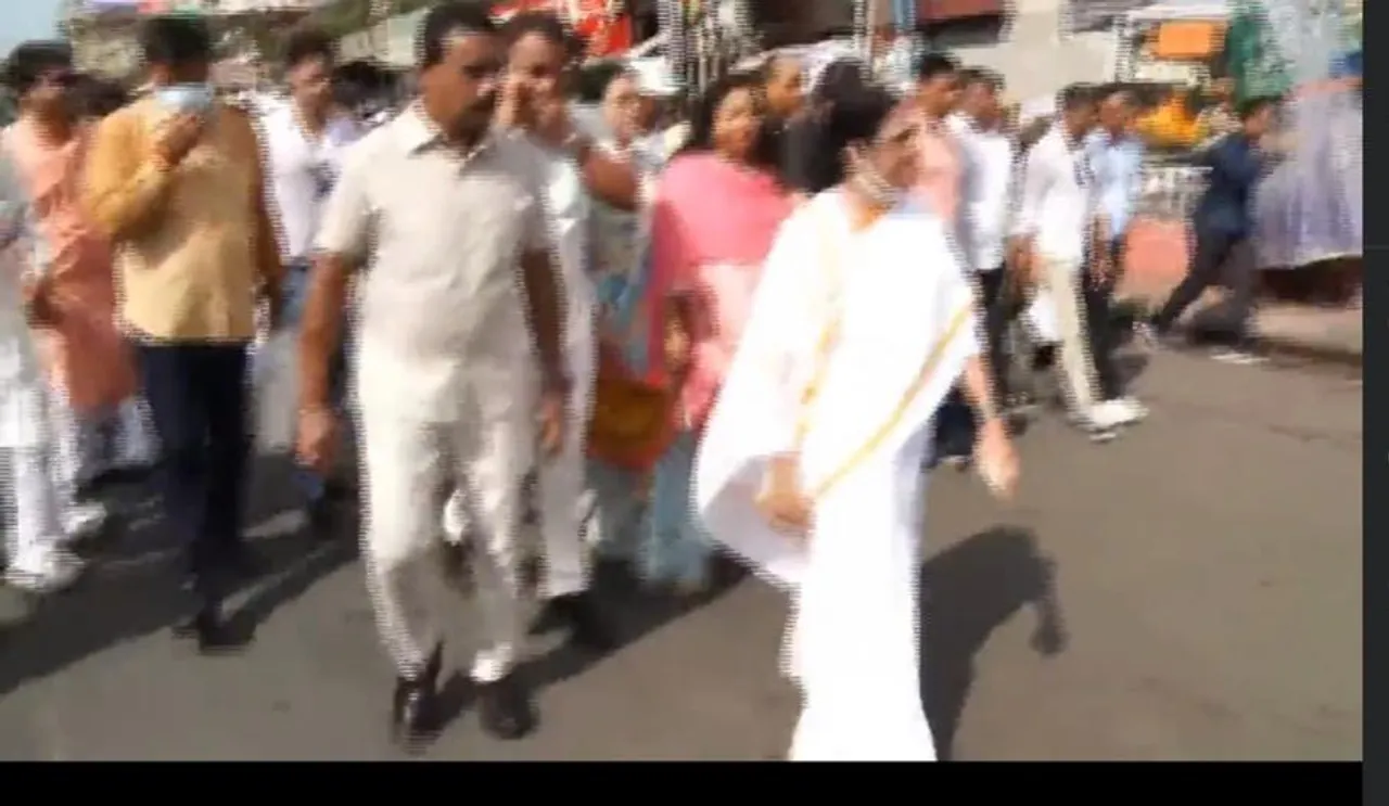 জাকজমকপূর্ণ পুজোর মিছিল