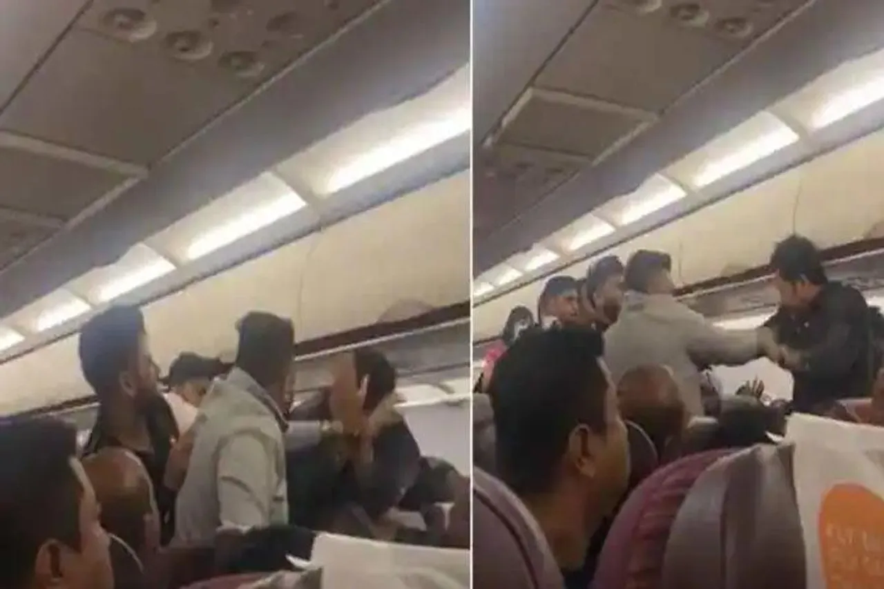 মাঝ আকাশে বিমানে দুই যাত্রীর হাতাহাতি, ভাইরাল ভিডিও