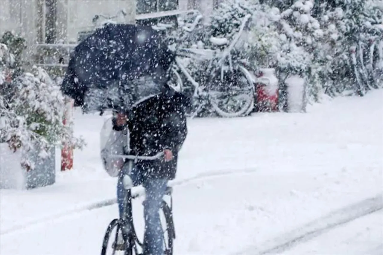 বম্ব সাইক্লোনে মৃত্যু বেড়ে ৬২