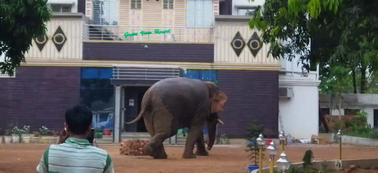 খাবারের সন্ধানে  একটি হোটেলে  ঢুকে পড়ল হাতি