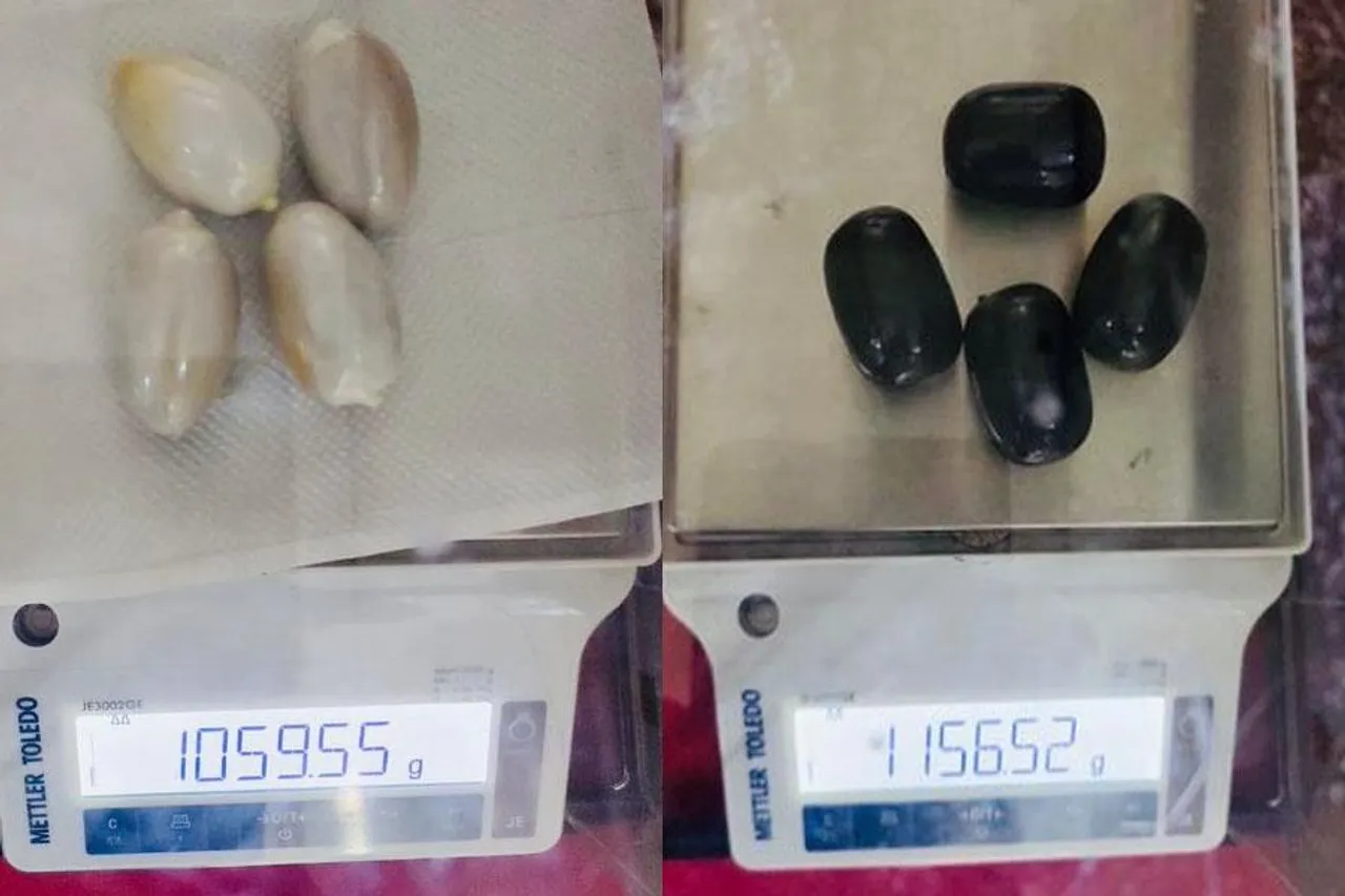 কোচি বিমানবন্দর থেকে উদ্ধার  ২২১৬.০৭ গ্রাম সোনা