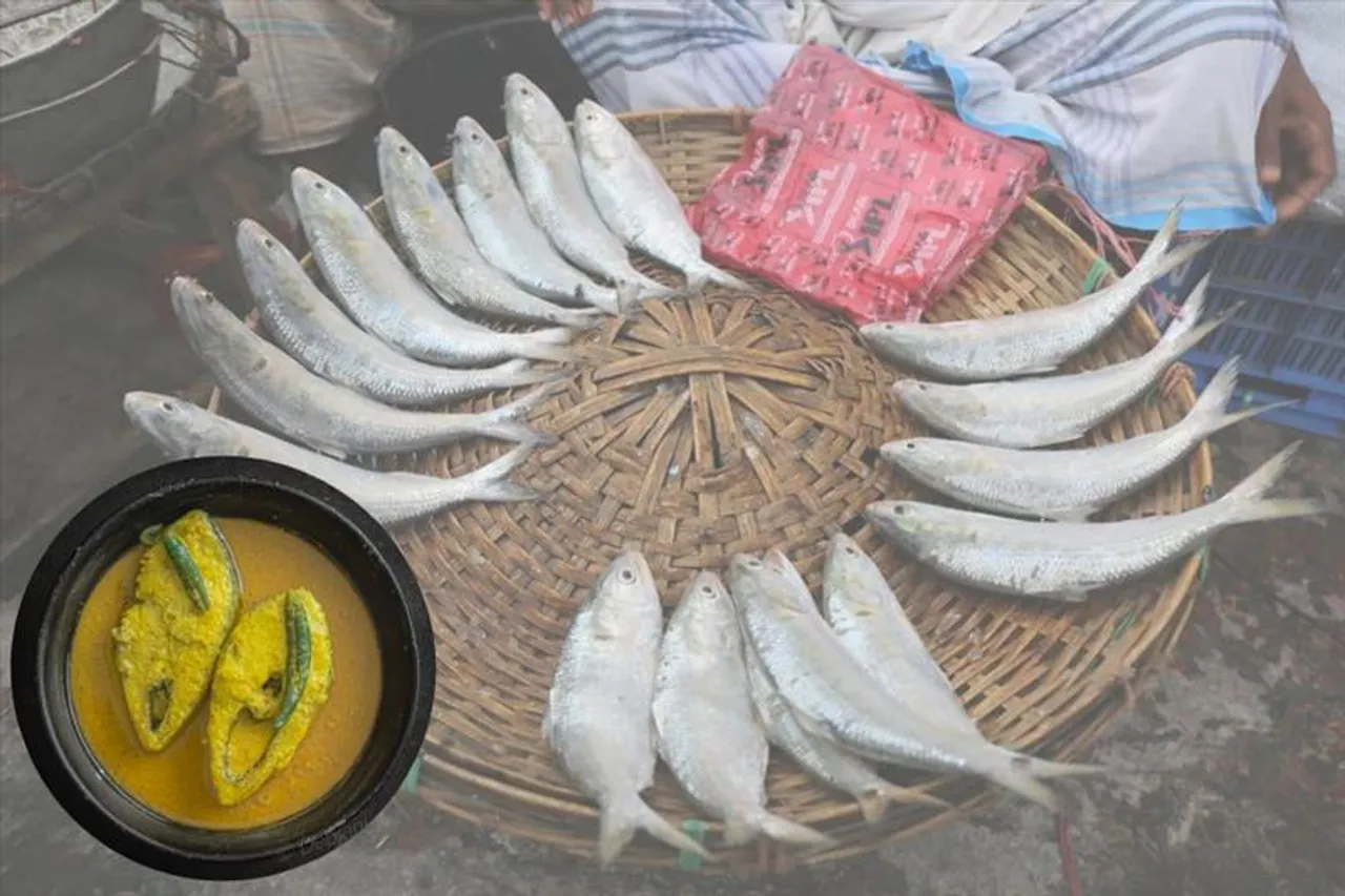 রেডি থাকুন! চৈত্র থেকেই পাতে পড়বে ইলিশ! পকেট থেকে খসবে কত?