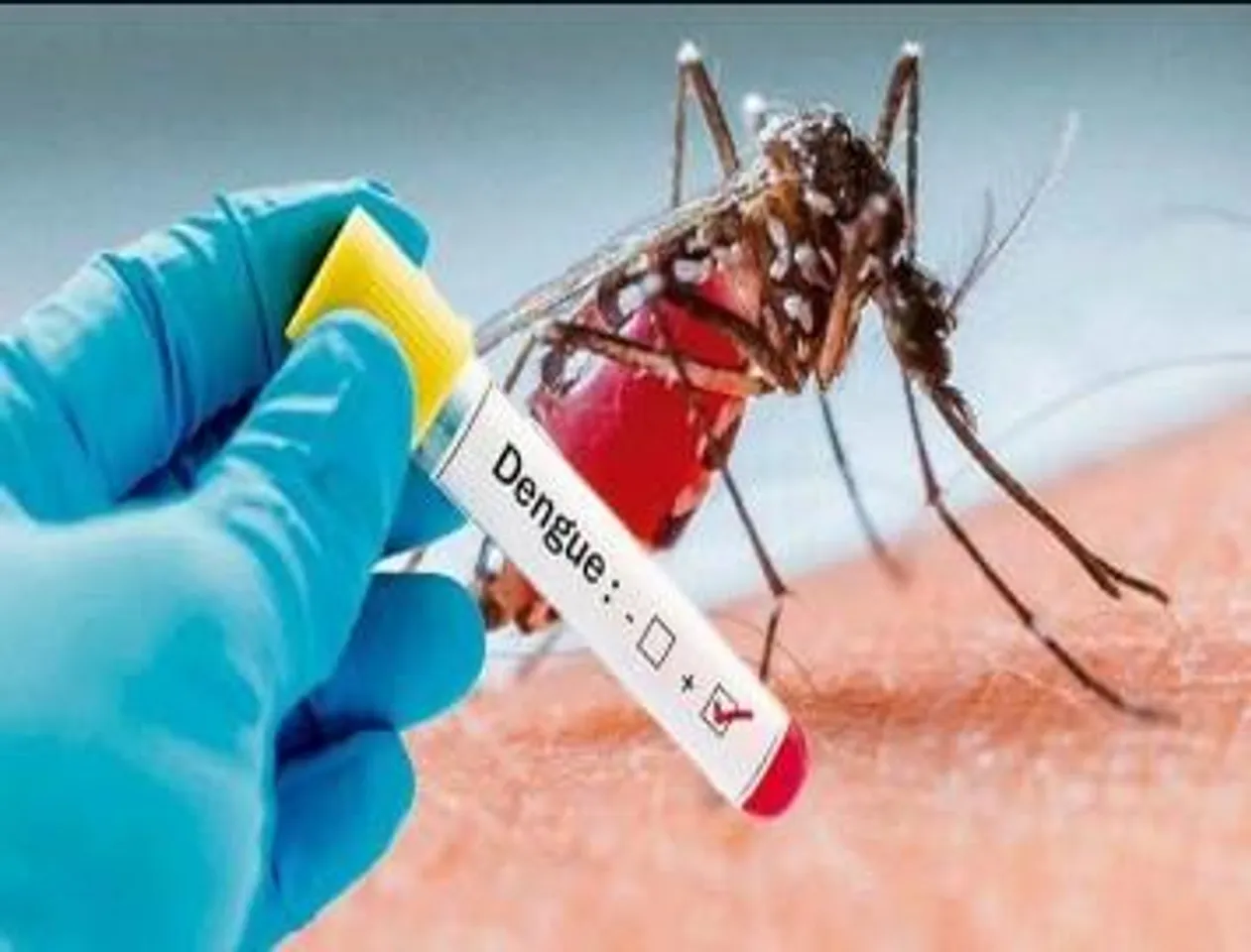 কালীঘাটে ডেঙ্গিতে মৃত্যু বালকের