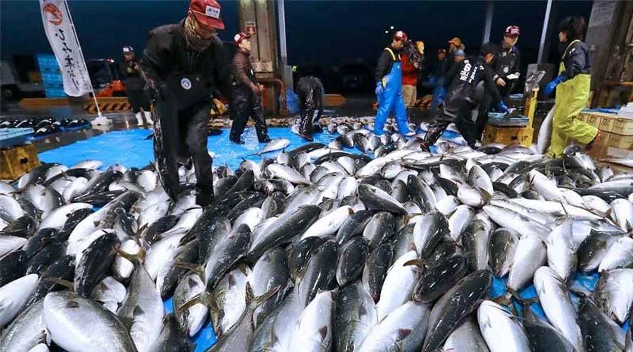 নতুন চুক্তি টোকিও-মস্কোর