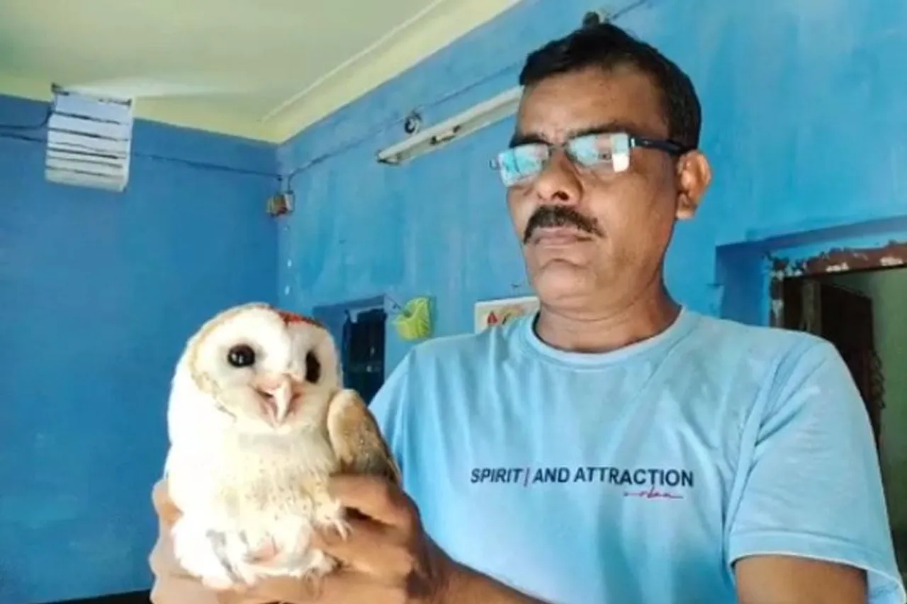 বিরল প্রজাতির পেঁচা উদ্ধার