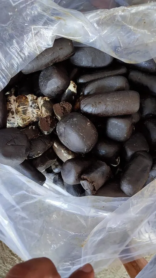 ১৪ কোটি টাকার মাদক সহ গ্রেফতার ৪