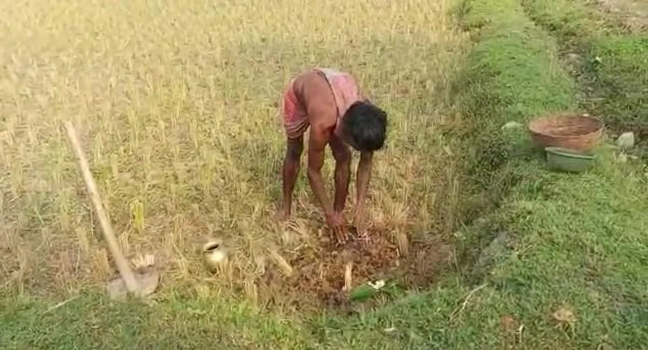 অক্ষয় তৃতীয়ার দিন থেকে কেশিয়াড়ির কৃষকদের চাষের শুরু