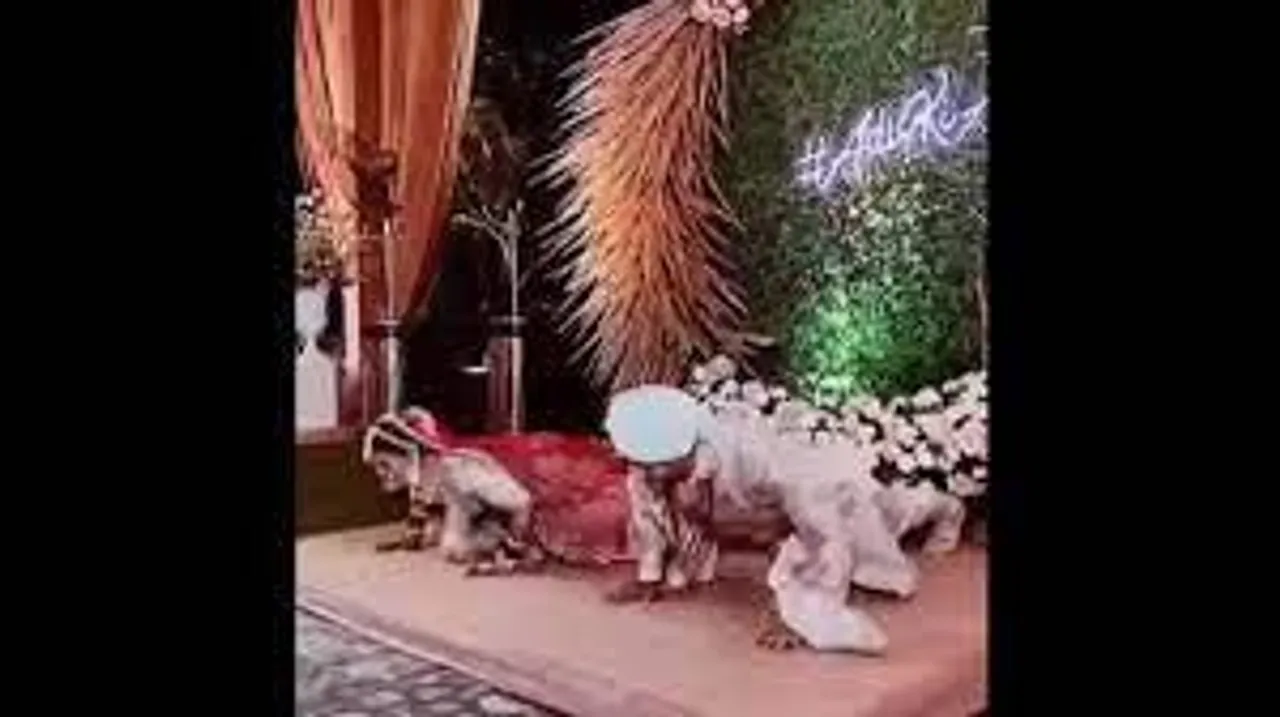 বিয়ের স্টেজে চলল নব দম্পতির পুশ-আপ