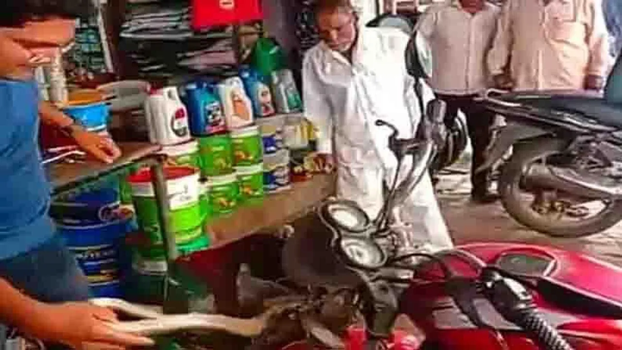 বাইকে সফরসঙ্গী কোবরা!