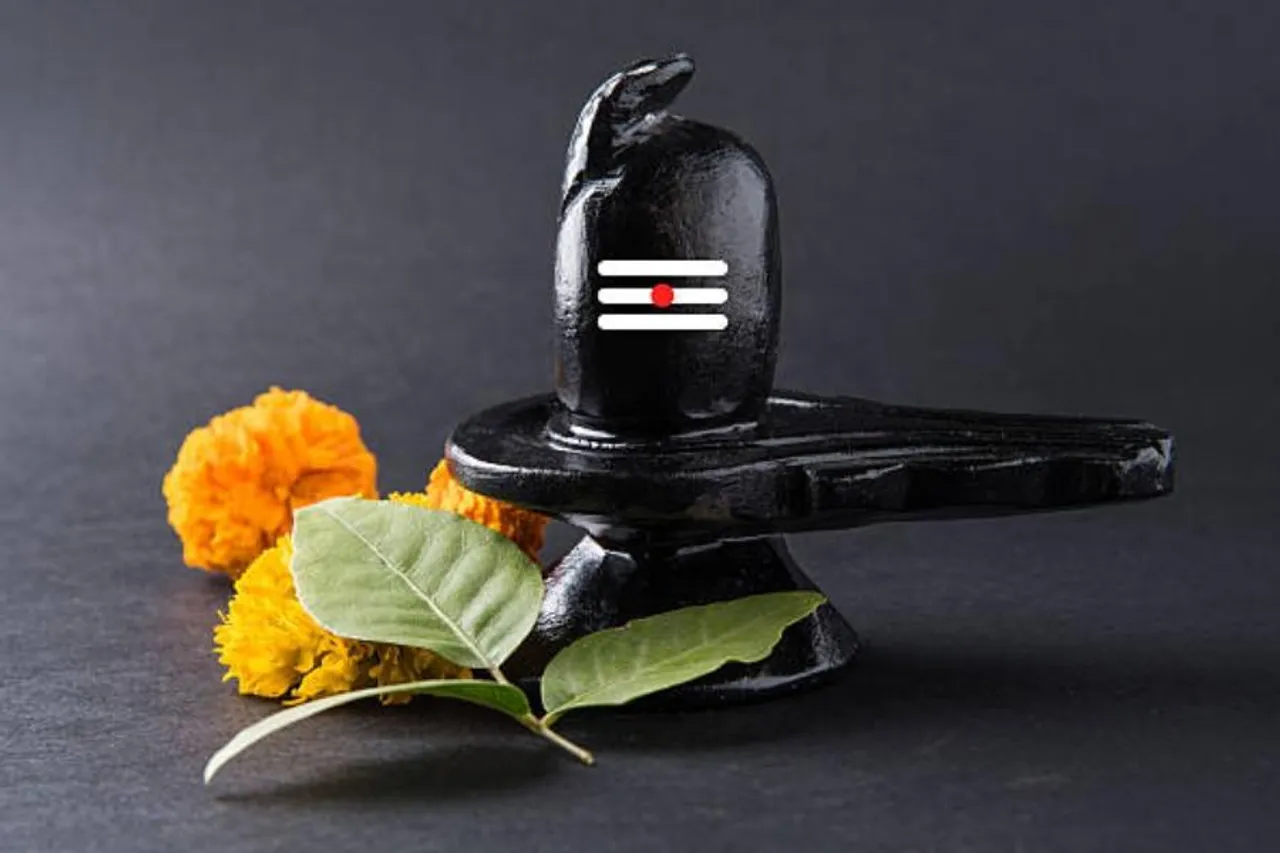 বাড়িতে সব সময় কালো শিবলিঙ্গই রা‌খা হয় কেন জানেন?