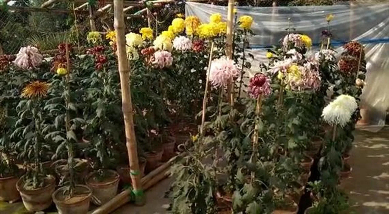 থানা ভবনের ছাদে বাগান!