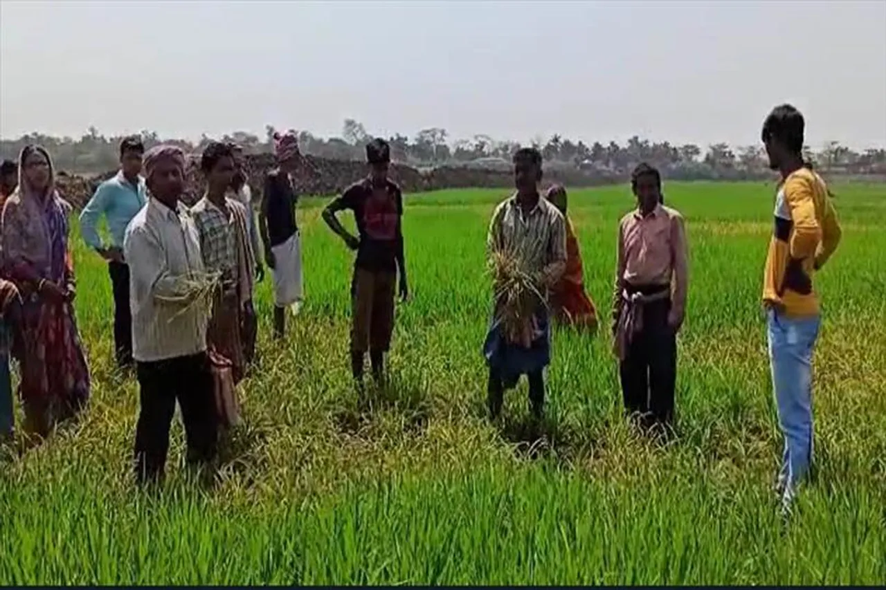 মাছের ভেড়ি করার জন্য চাষের জমি দখলের অভিযোগ