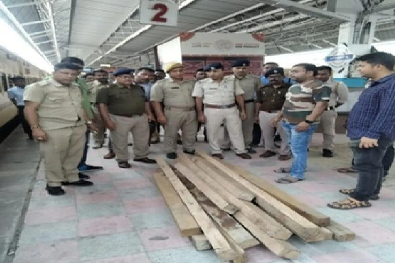 পশ্চিমবঙ্গ: পাচারের আগে উদ্ধার হল কচ্ছপ, কাঠ ও গোলাবারুদ