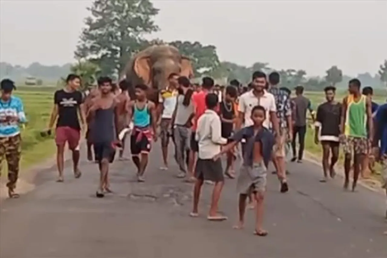 পথ চলতে চলতে গৃহস্থের বাড়িতে খাবারের খোঁজ রামলালের