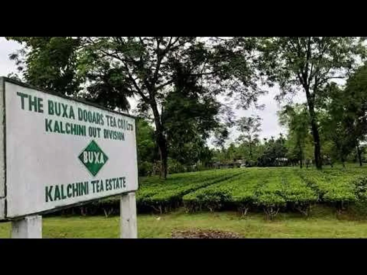 চা বলয়ে বাড়ছে যক্ষা রোগীর সংখ্যা!