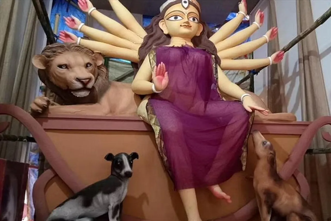 দুর্গাপুজোর মণ্ডপ এবার পোষ্য-বান্ধব, সৌজন্যে বিধান সরণি অ্যাটলাস ক্লাব