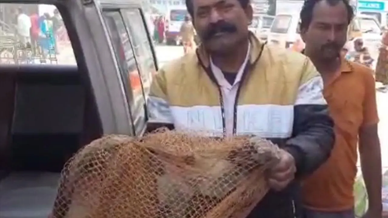 হাসপাতালের স্টোর রুম থেকে উদ্ধার গন্ধগোকুল