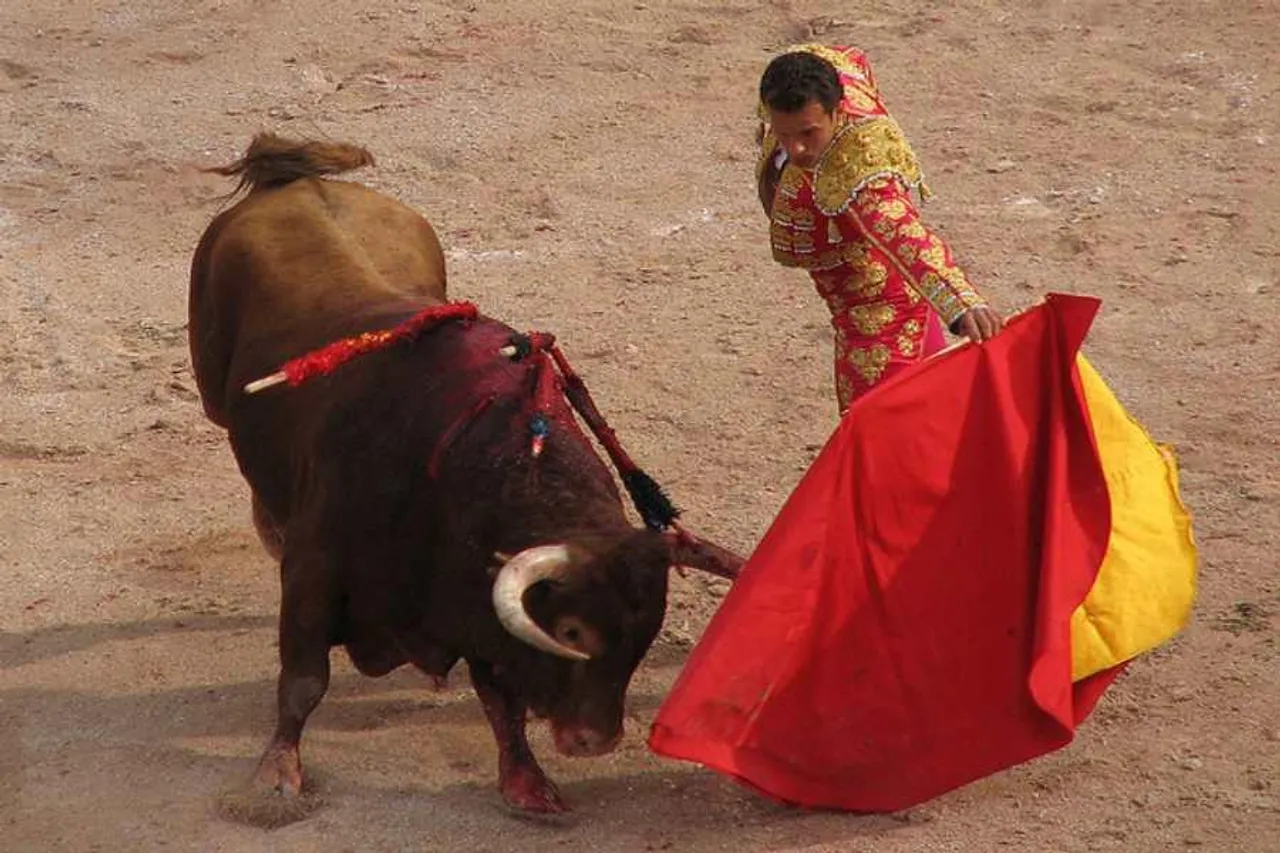 প্রত্যাহার করা হল ষাঁড়ের লড়াই নিষিদ্ধের বিল