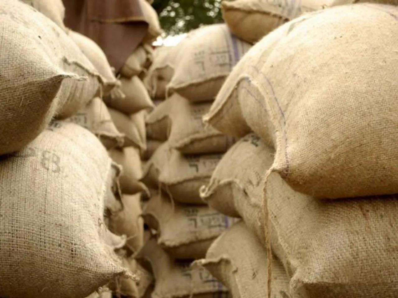 পাকিস্তানের রাওয়ালপিন্ডিতে ময়দার দাম বেড়ে হয়েছে কেজি প্রতি ১৫০ টাকা