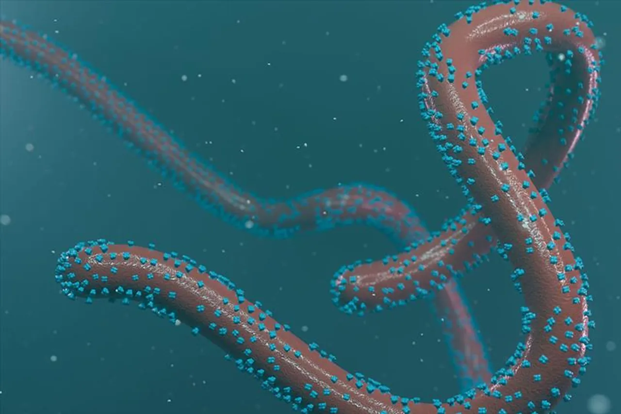 আফ্রিকায় হানা দিল আরও এক মারণ ভাইরাস, জানাল WHO