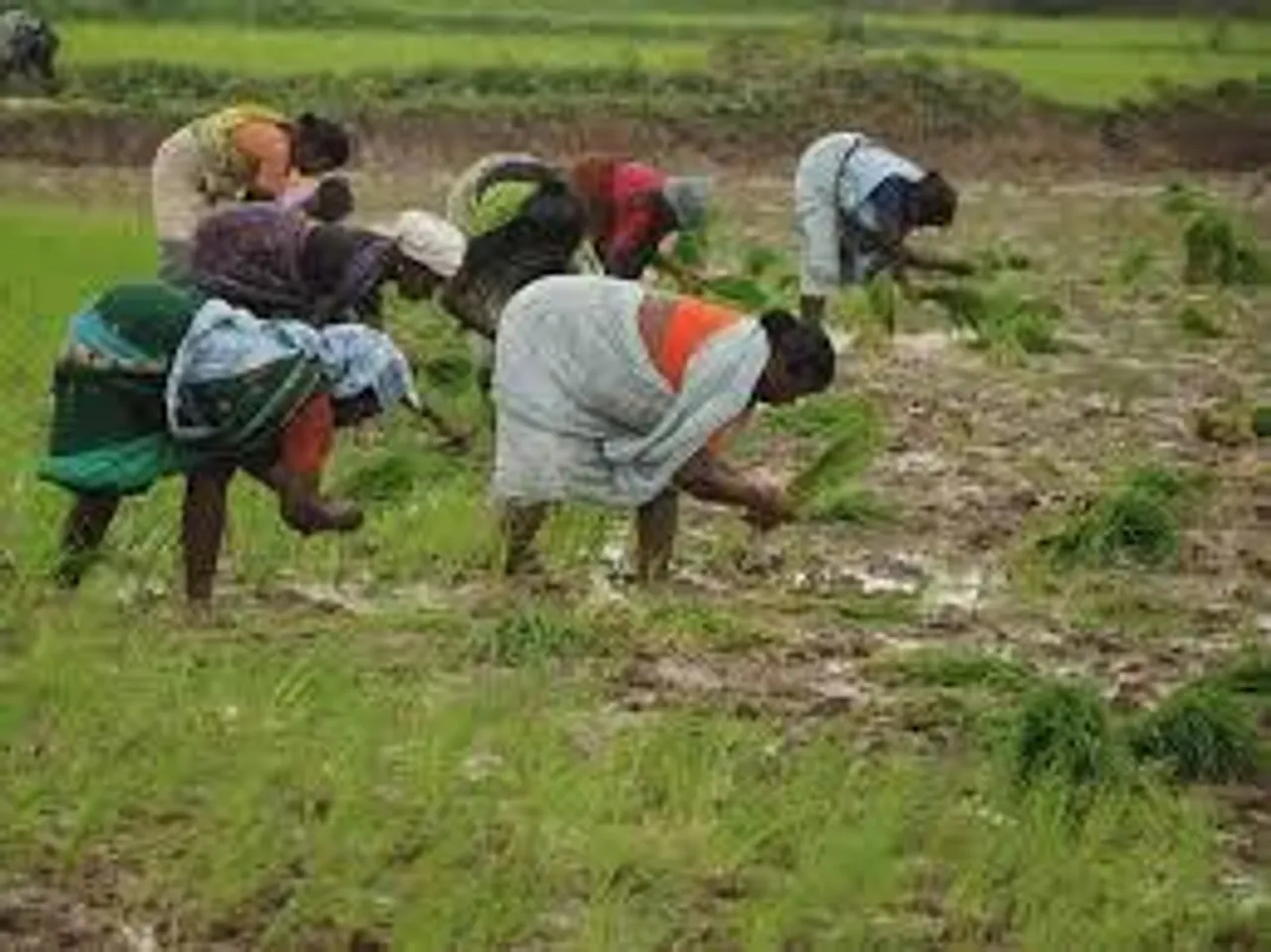 সহায়ক মূল্যের শিবির নিয়ে আক্রমণ তৃণমূল সরকারকে