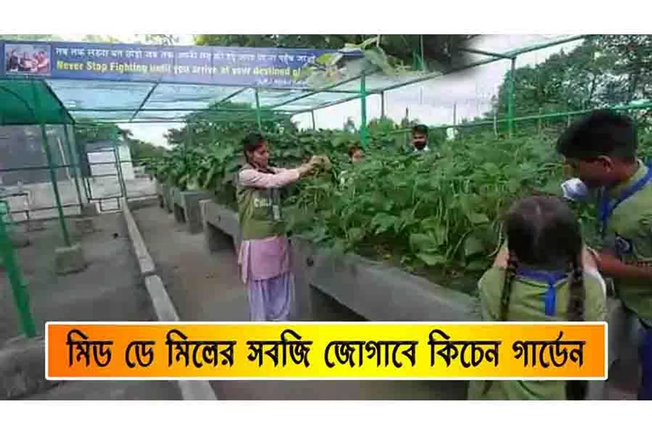 মিড মে মিলের সবজি জোগাবে কিচেন গার্ডেন