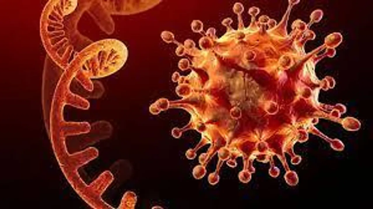 মিজোরামে একদিনে আক্রান্ত ২৫৭৩