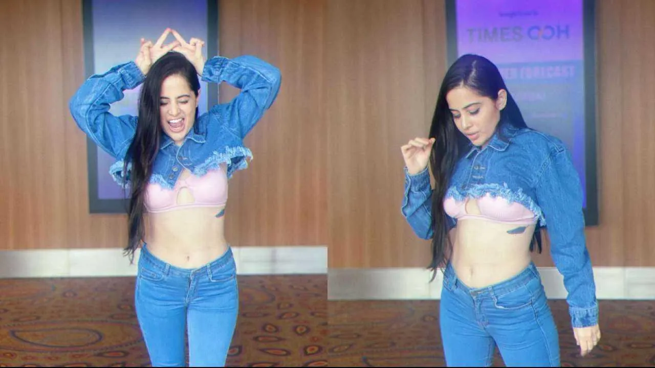 পোশাক বিতর্ক নিয়ে এবারে মুখ খুললেন উরফি