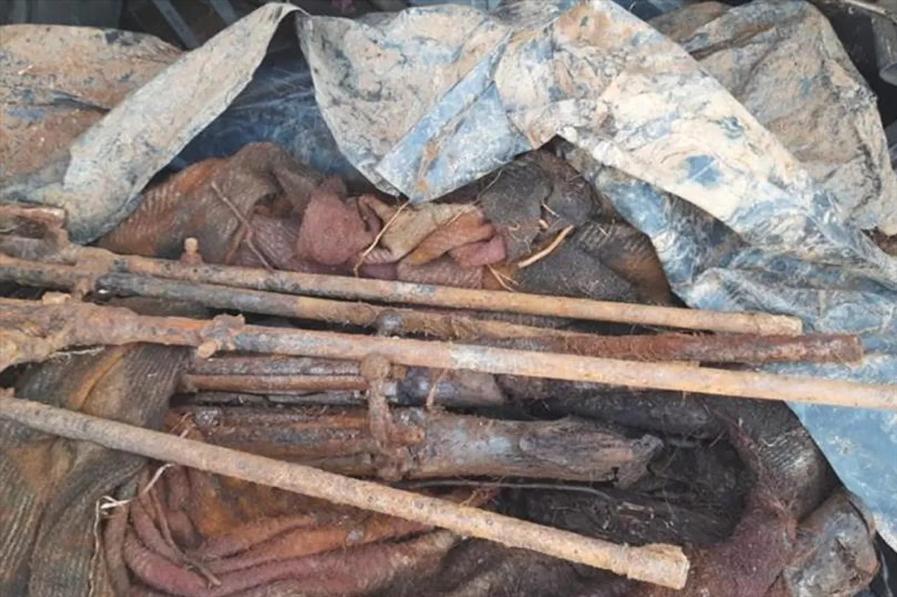 মাটি খননের সময় উদ্ধার আগ্নেয়াস্ত্র, গোলাবারুদ