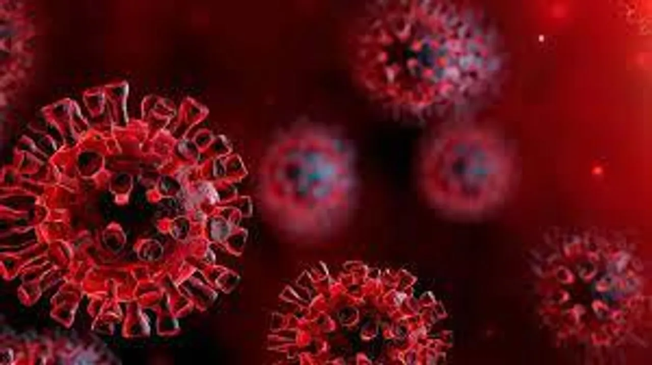 গত ২৪ ঘণ্টায় সামান্য বাড়ল সংক্রমণ