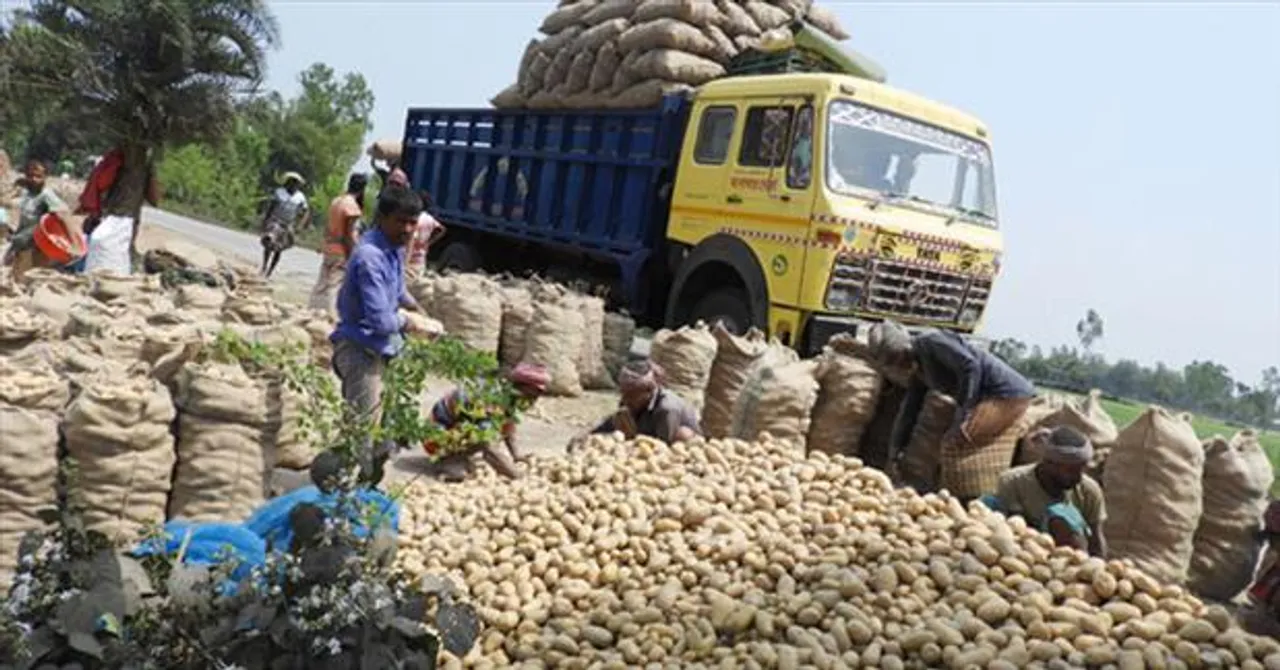 দক্ষিণবঙ্গের বাজার দখল করছে উত্তরবঙ্গের আলু