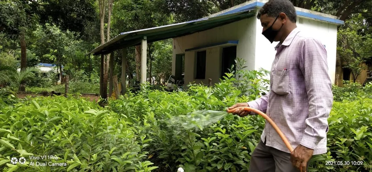 অভিনব অরণ্য সপ্তাহ পালন বন দফতরের