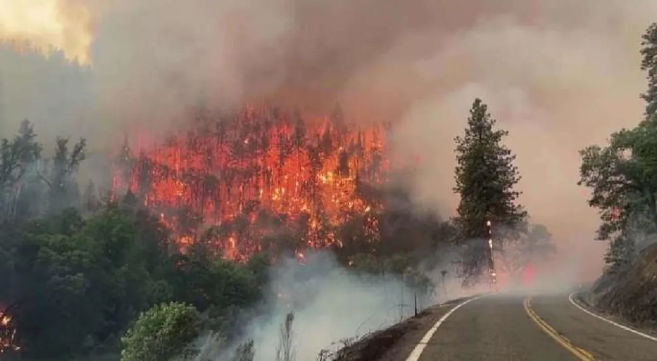 পুড়ে খাক ক্যালিফোর্নিয়ার ক্ল্যামাথ জঙ্গল