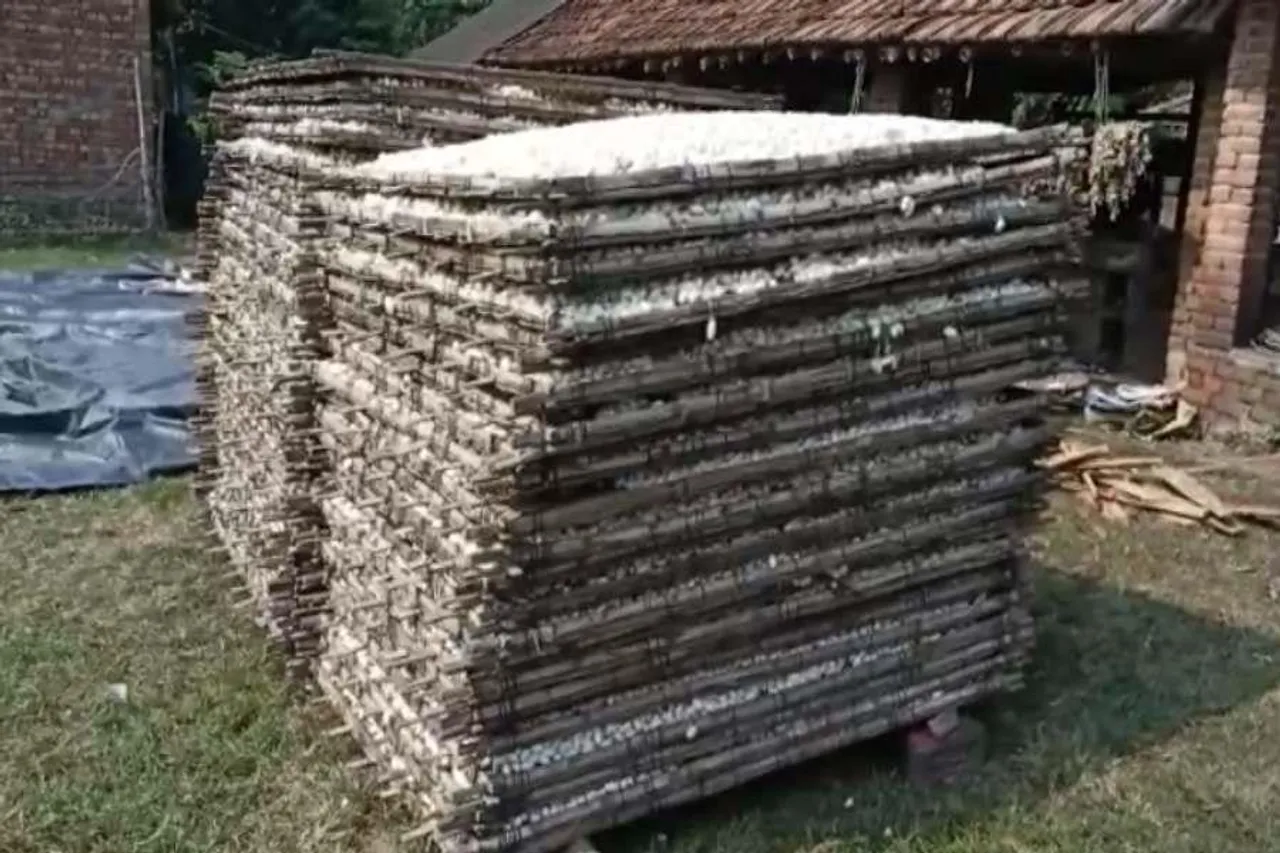 মন্ত্রীর উদ্যোগে রেশম চাষের জন্য দেওয়া হল ৭ কোটি টাকা