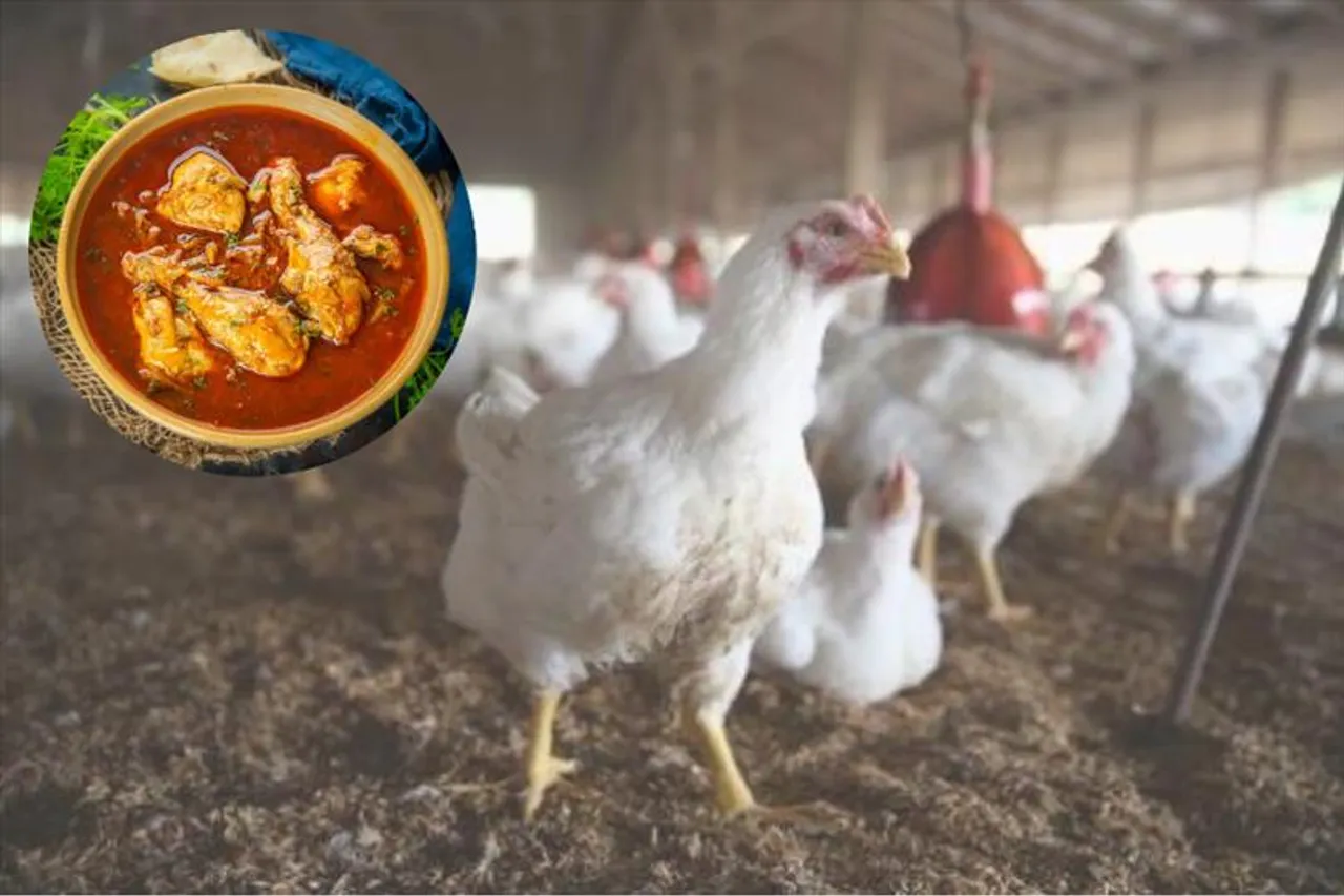 রবিবারের পাতে আর পড়বে না! দাম জানলেই হার্ট অ্যাটাক