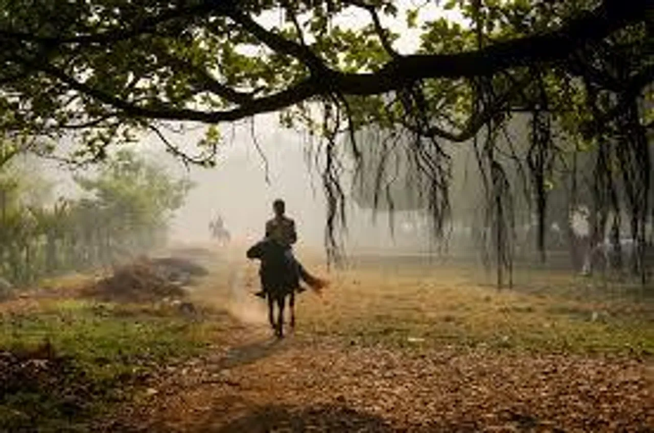 মাঘের শেষে  ব্যাটিং শীতের