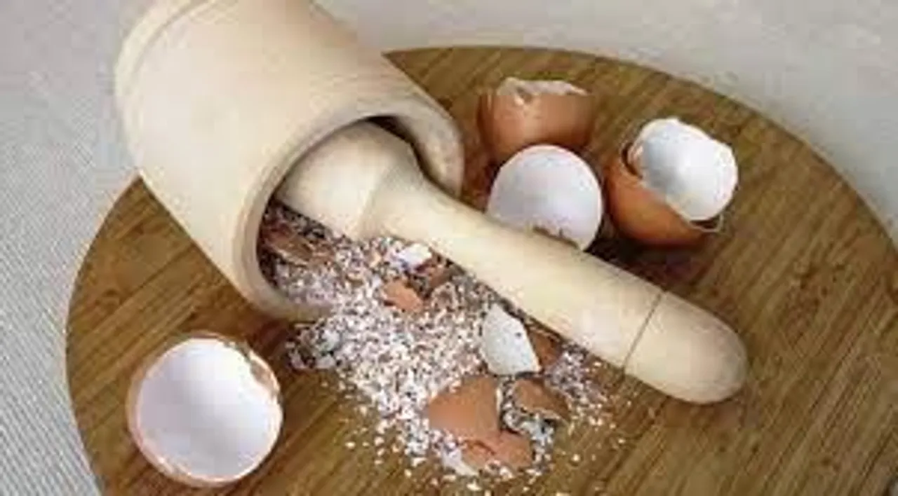 ডিমের খোসার ফেসপ্যাক বাড়াবে ত্বকের ইলাস্টিসিটি