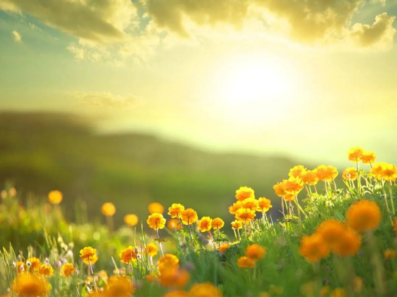 বসন্তকালে রোগের হাত থেকে বাঁচতে কি করবেন?